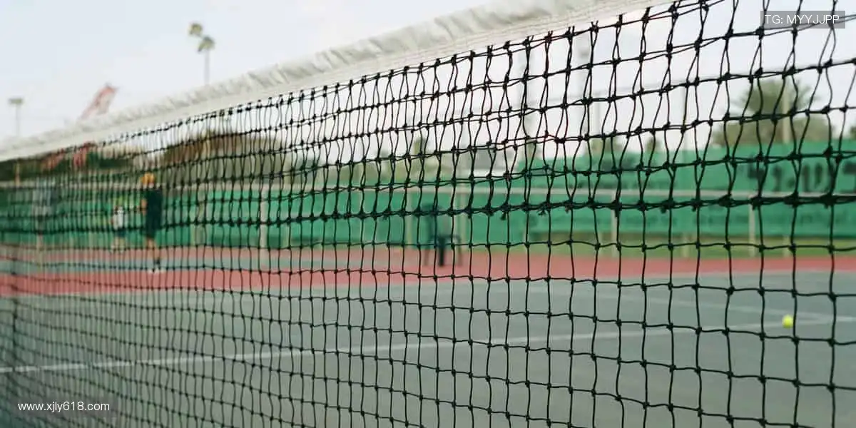 📺直击赛事现场，零时差享受热血对决！🎯